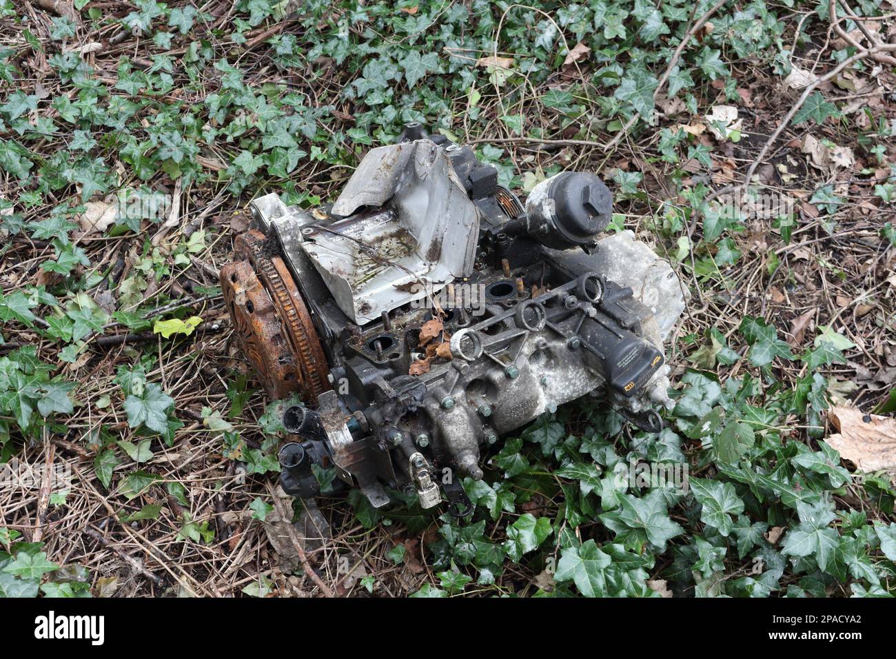 Abandoned car engine in woodland Stock Photo