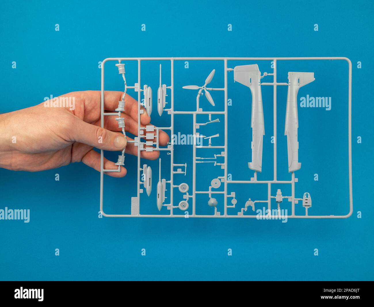Sprue from a plastic model kit in hand on the blue background. Parts tree of the airplane model, close up. Building model aircraft, hobby concept Stock Photo