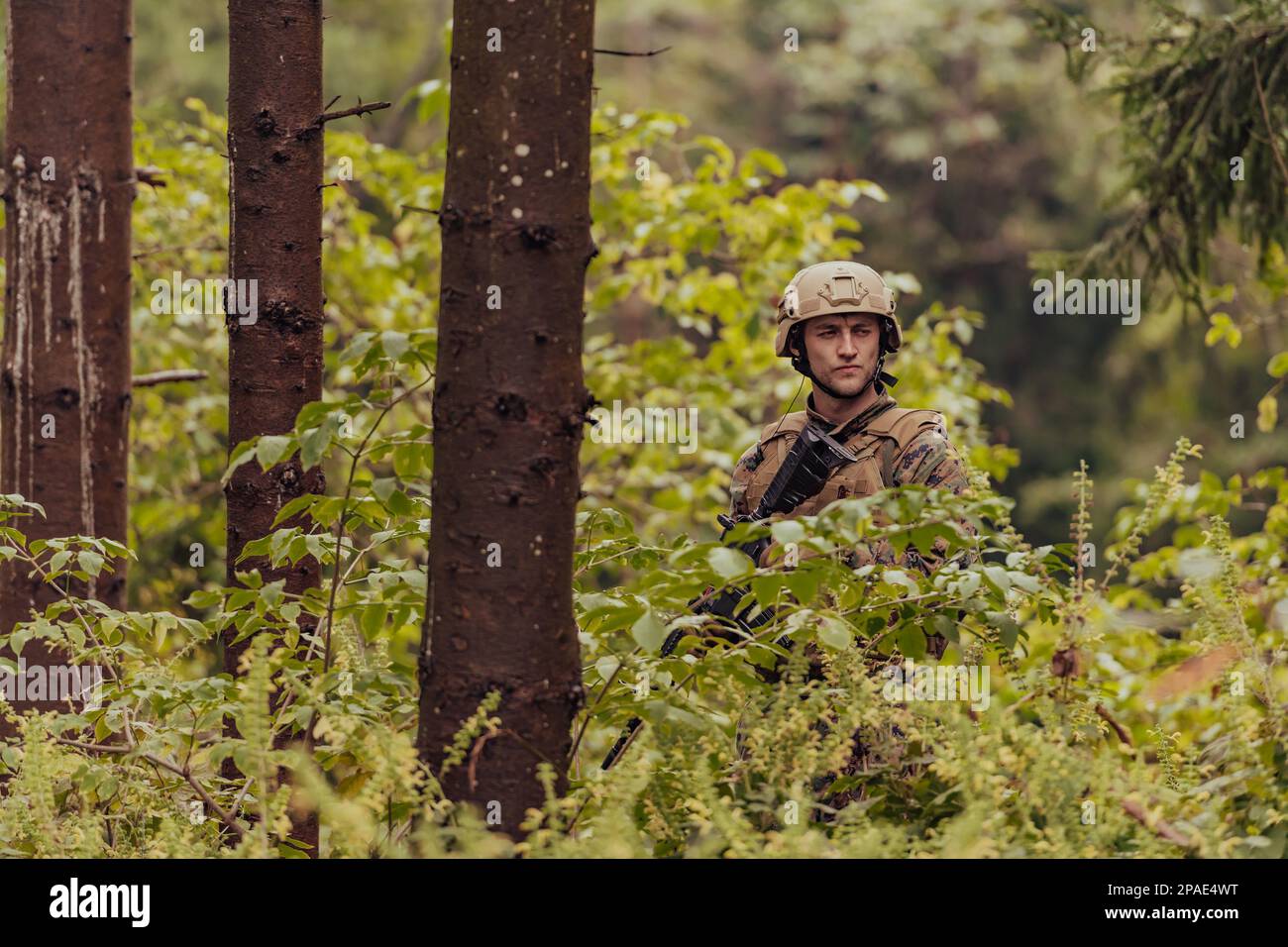 A modern warfare soldier on war duty in dense and dangerous forest ...