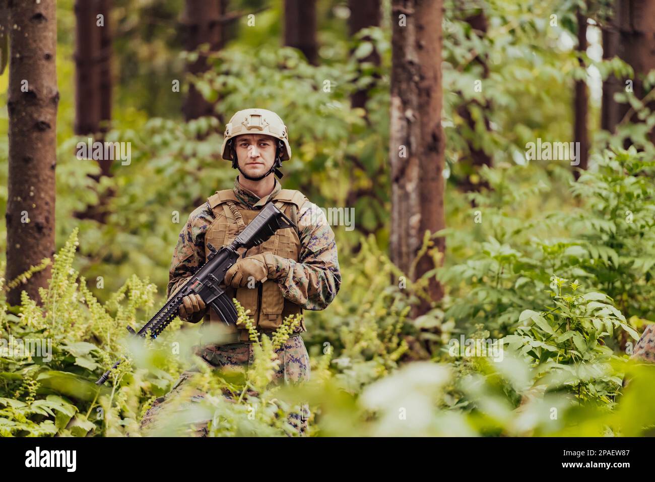 A modern warfare soldier on war duty in dense and dangerous forest ...