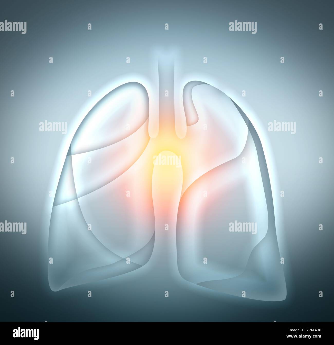 Illustration of human lungs on light grey background Stock Photo Alamy