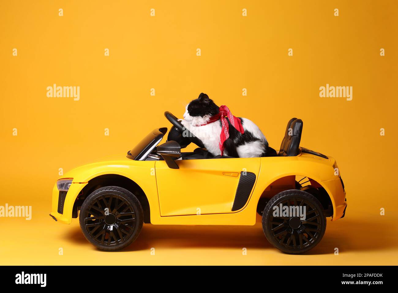 Adorable cat in toy car on yellow background Stock Photo - Alamy