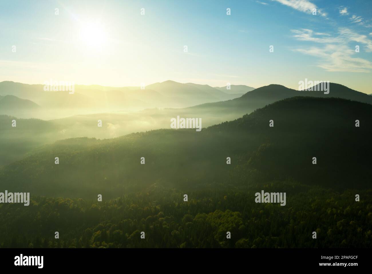 Drone over misty forest in hi-res stock photography and images - Alamy
