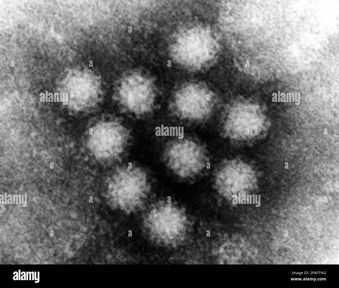 ** ARCHIV ** Die von der U.S. Umweltagentur EPA zur Verfuegung