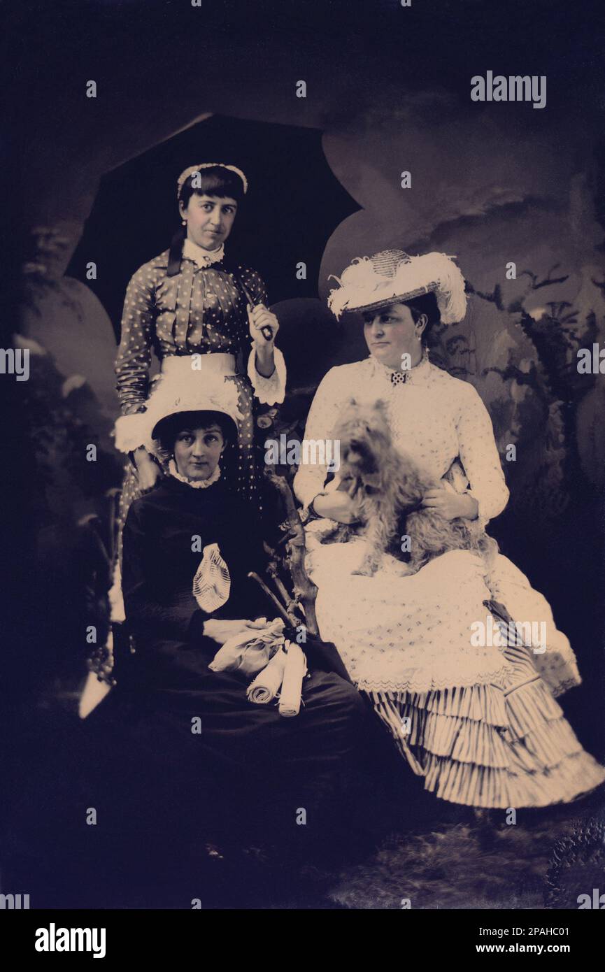 1890 ca , Great Britain   : Two sisters  with  mother - TOYS - giocattolo - giocattoli  -  BAMBOLA - bambole - SORELLE - FOTO STORICHE - HISTORY PHOTOS  -    - child  - bambina - bambine - BAMBINO - BAMBINI - CHILDREN - BABY - pois - polkadots -  INFANZIA - umbrella - ombrello - hat - cappello - feathers - piume - cane - dog - Yorkshire - pik-nick - turismo - tourism - tourist - turista - turisti - pet animal - animale domestico -  OTTOCENTO - MILLEOTTOCENTO - 800's - '800  - ENGLAND - FIGLIE - DAUGTHERS  - fashion - famiglia - family - in campagna - on the country side - ambrotype - ambrotipo Stock Photo