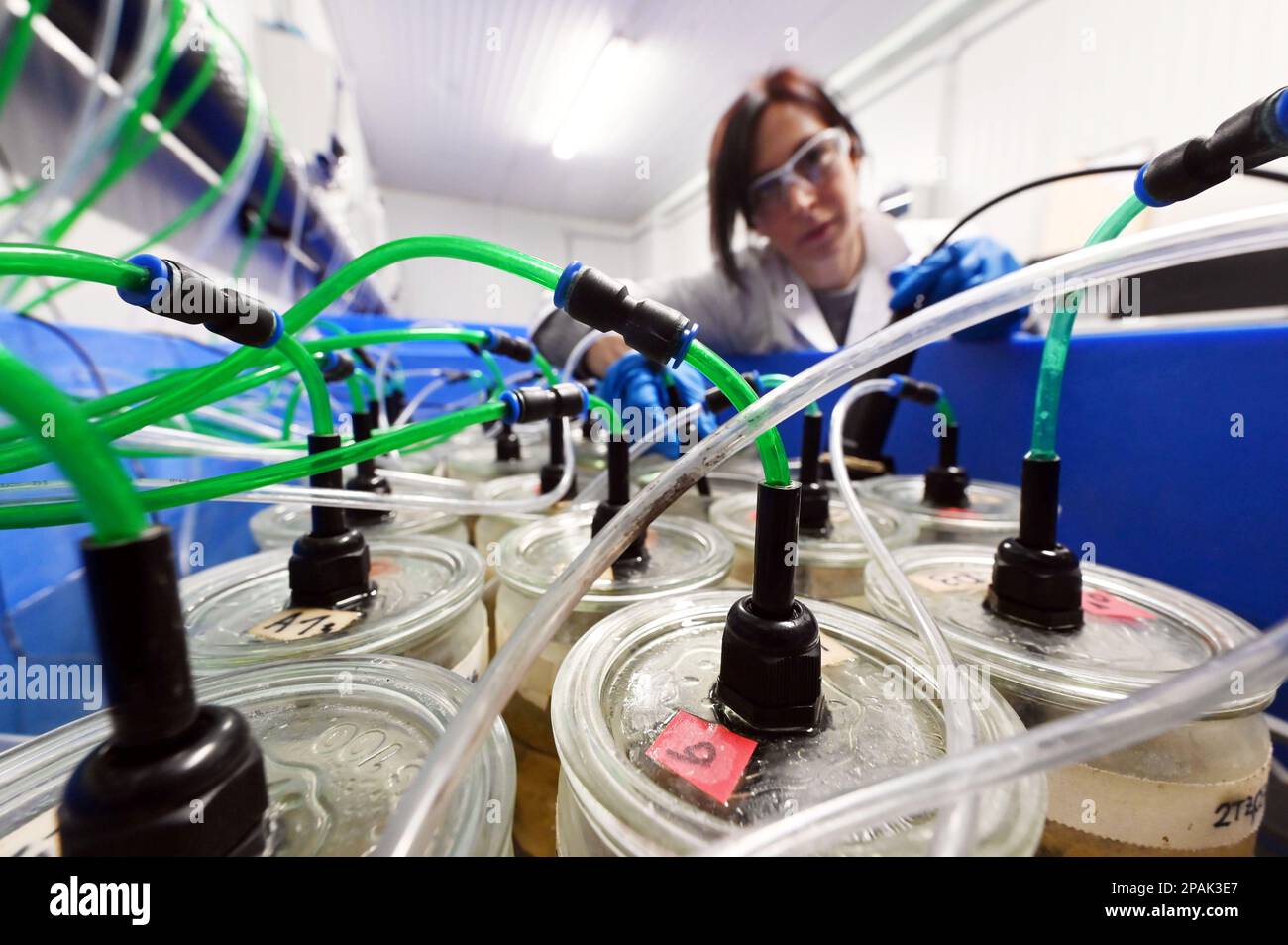 Solutions to plastic pollution hi-res stock photography and images - Alamy