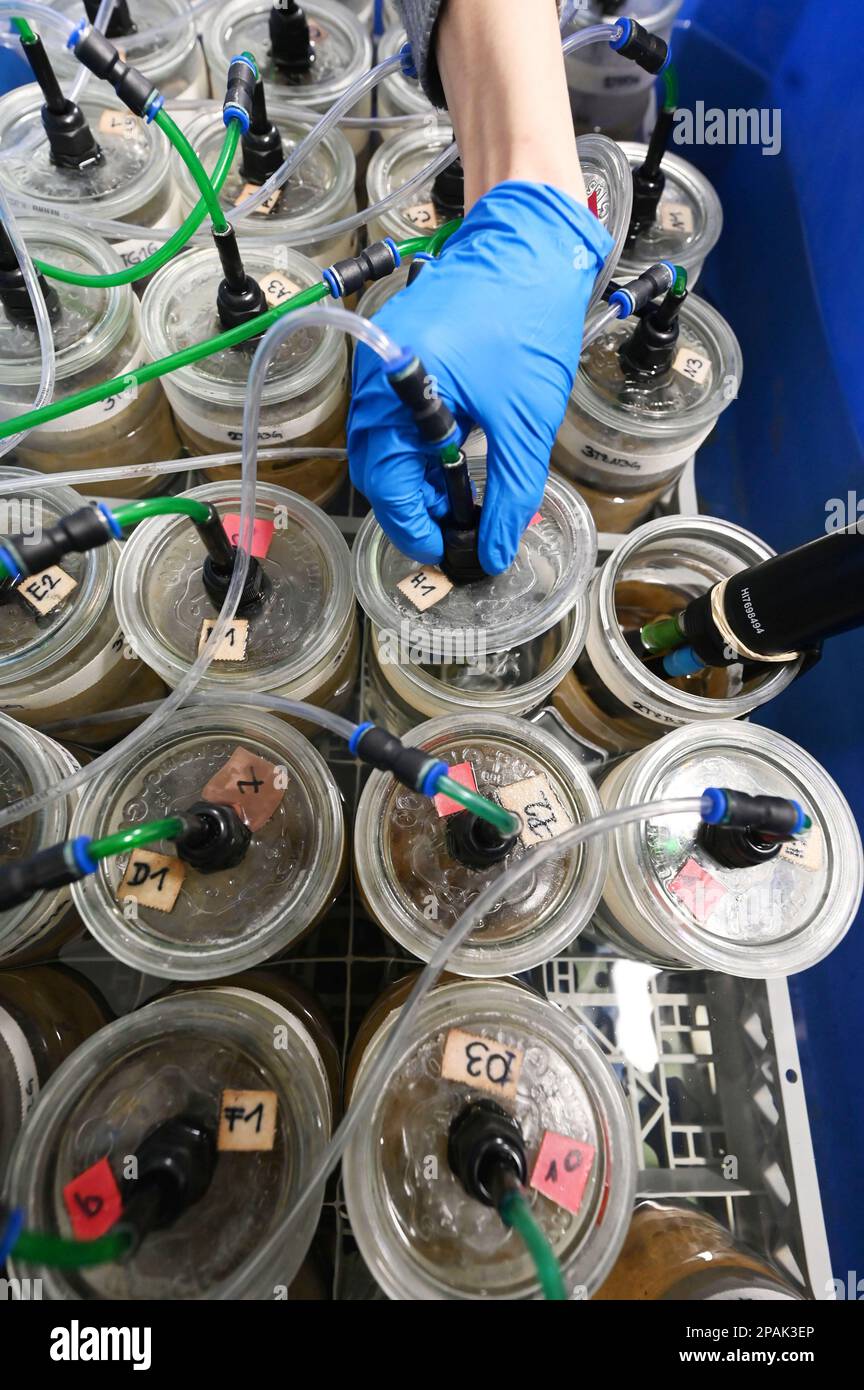 Aquarium setup hi-res stock photography and images - Alamy