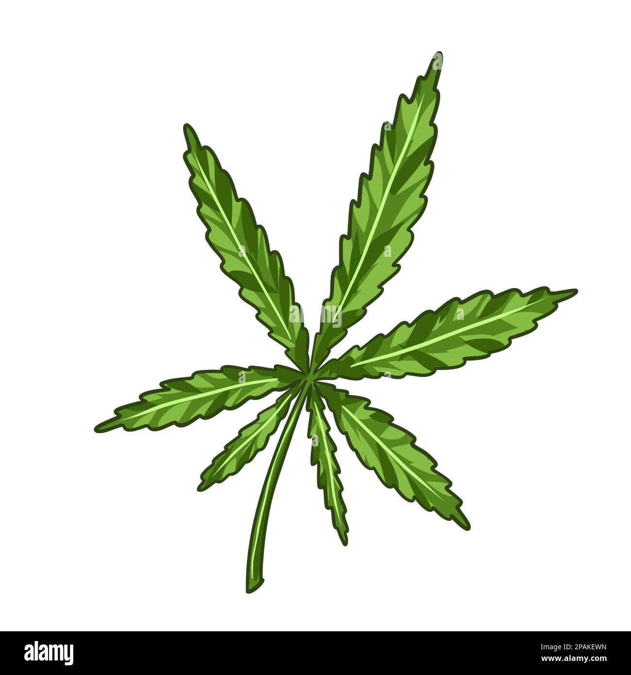 Cannabis cones. Marijuana Branch, Vector Illustration of Medical Weed