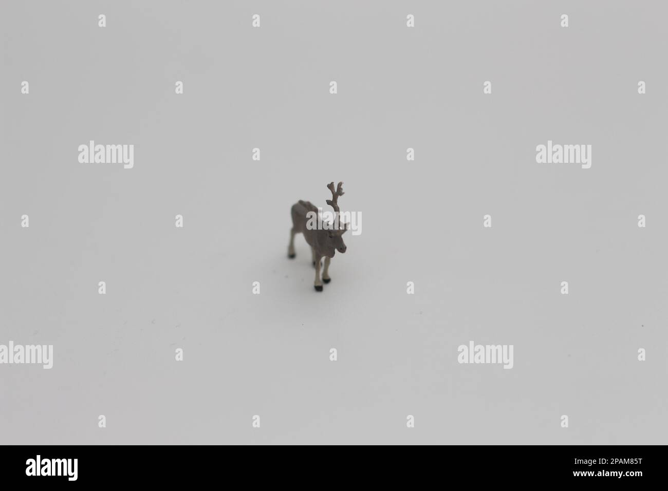 a close up of a miniature figure of a moose isolated on a white background. Miniature figure photo concept. Stock Photo