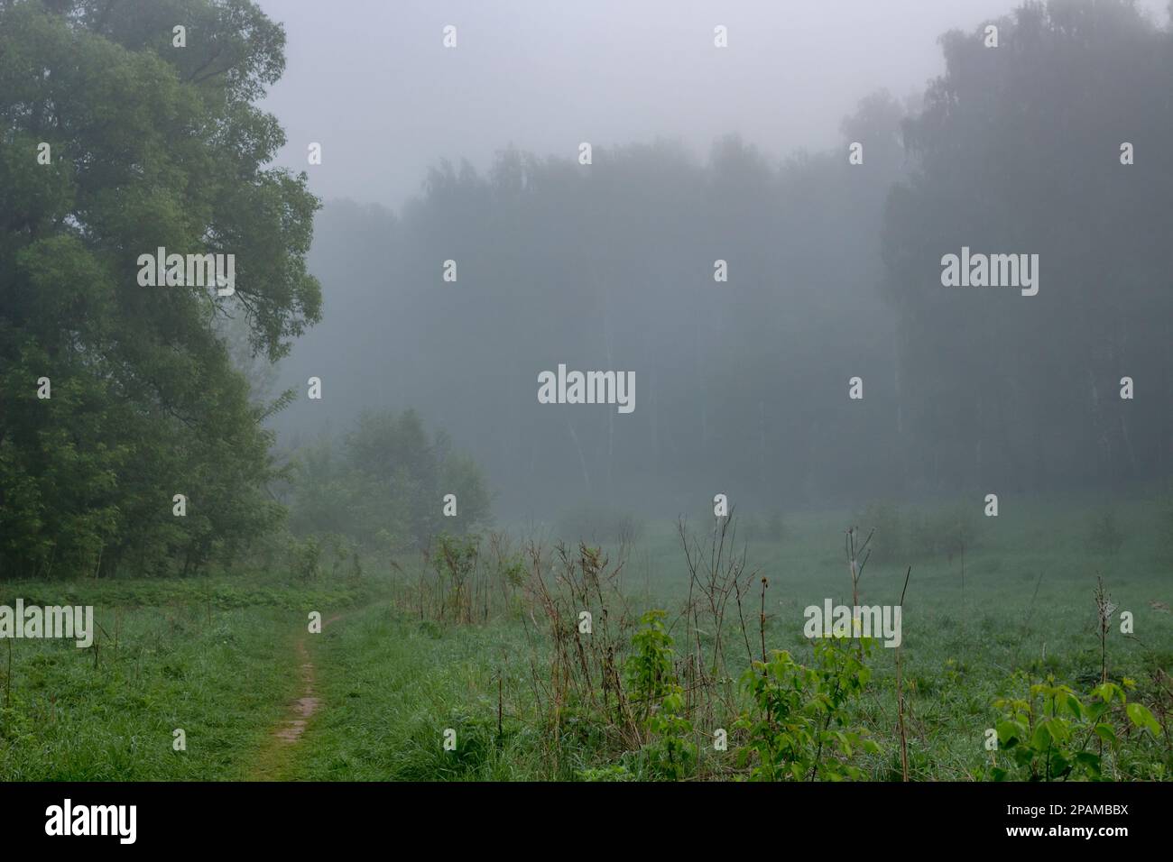 Thick ghostly white fog hi-res stock photography and images - Alamy