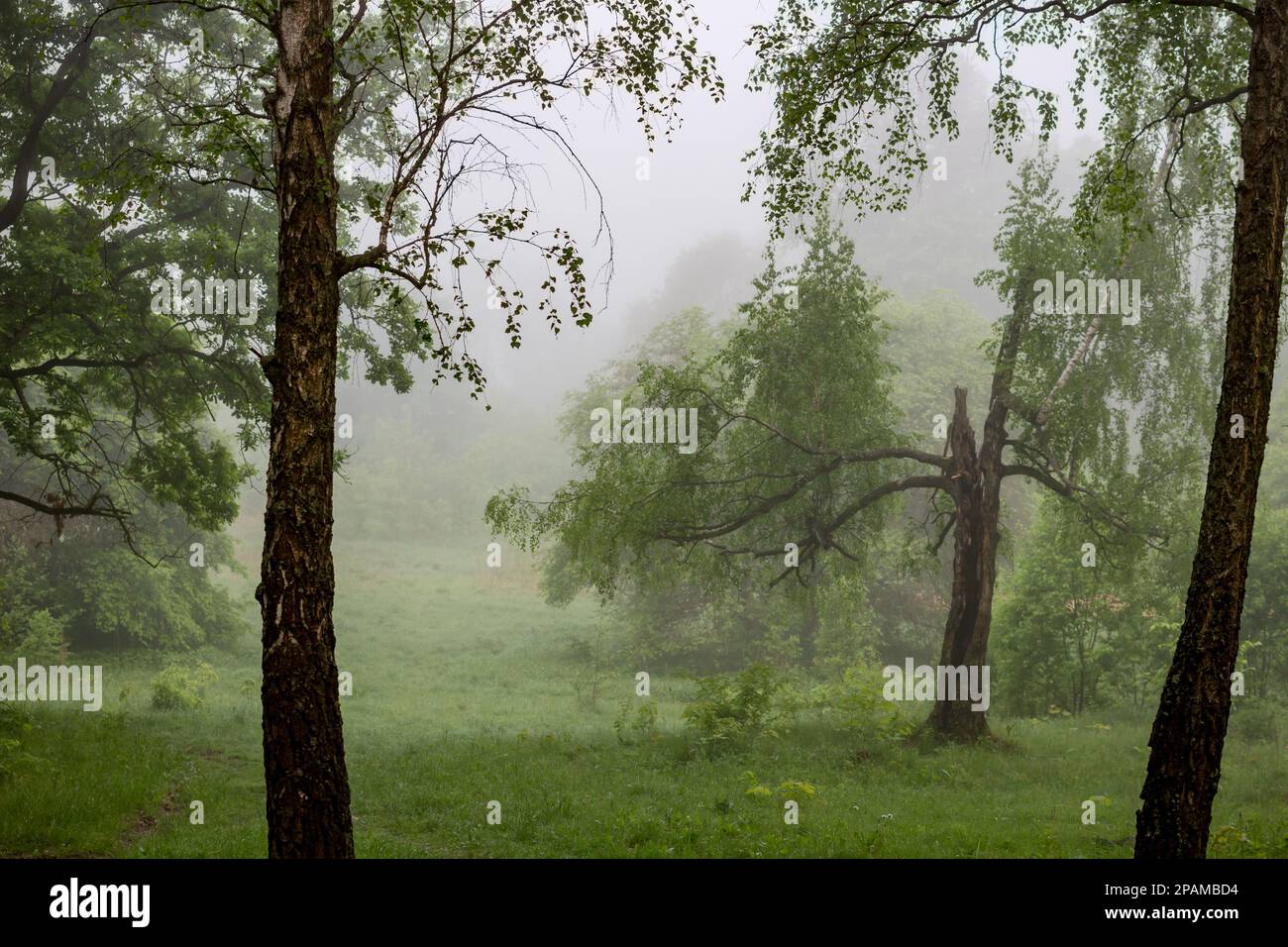 Thick ghostly white fog hi-res stock photography and images - Alamy