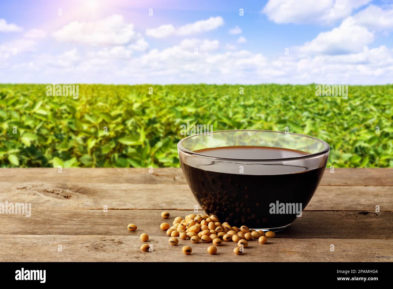 soy sauce in glass bowl with soybeans on wooden table and green agriculture field Stock Photo