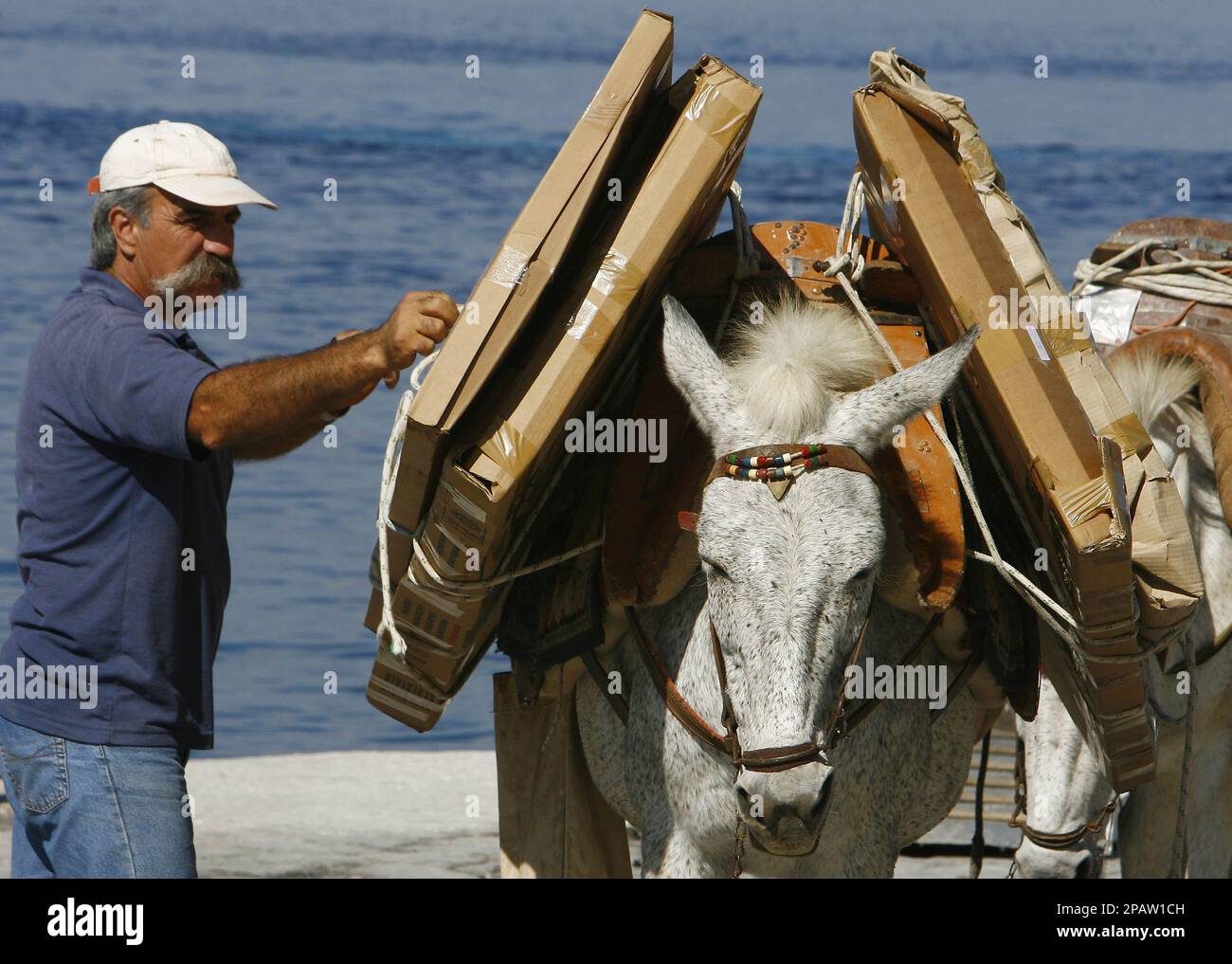 ** FILE ** The owner of a donkey checks packages on the Greek island of ...