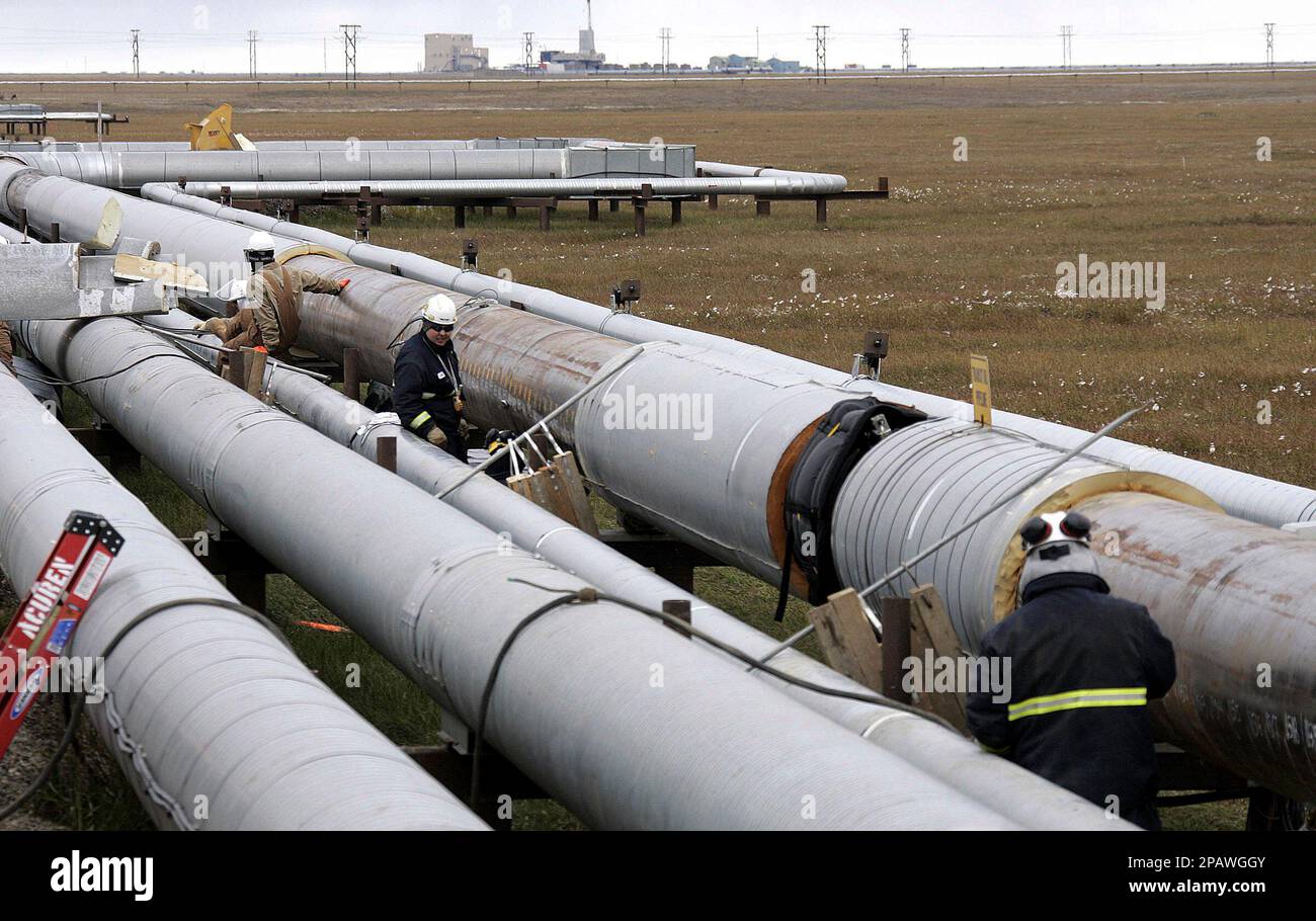 ** FILE ** BP workers, in the background, remove insulation from an oil