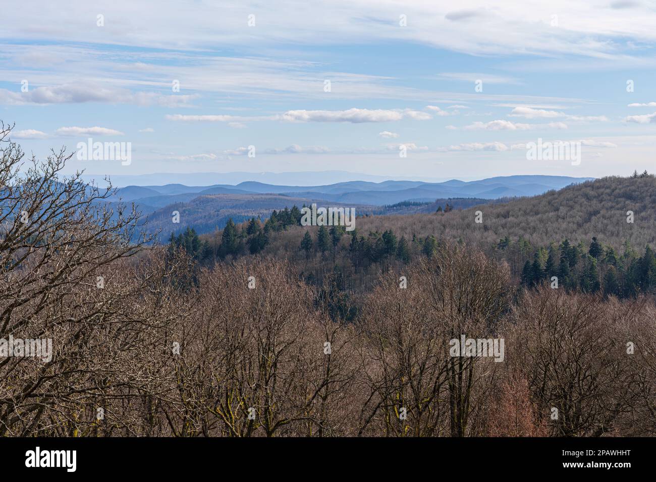 Scenic view on Palatinate Forest Stock Photo