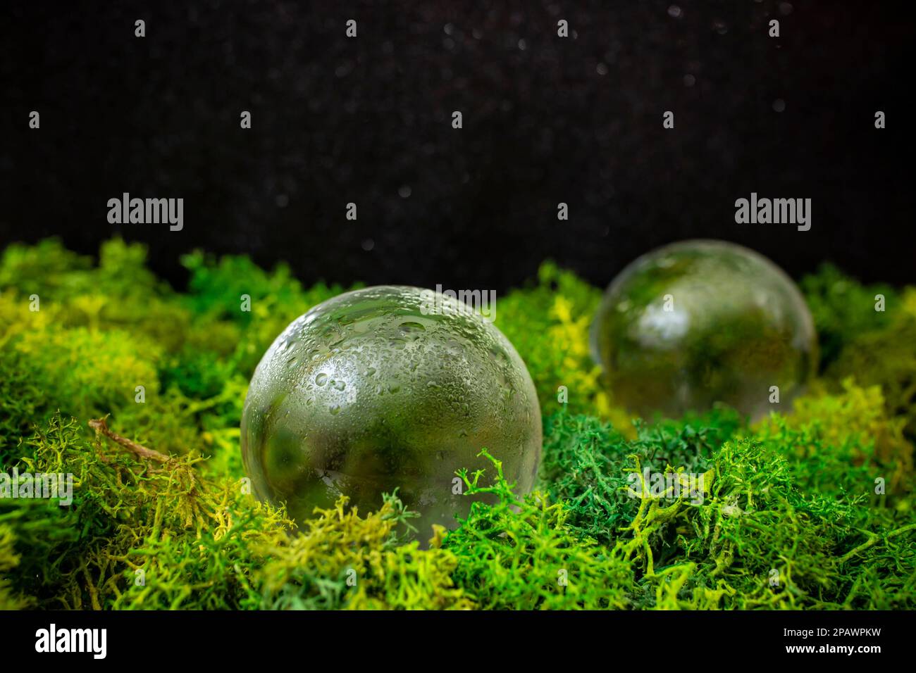 Glass lens distortion hi-res stock photography and images - Alamy