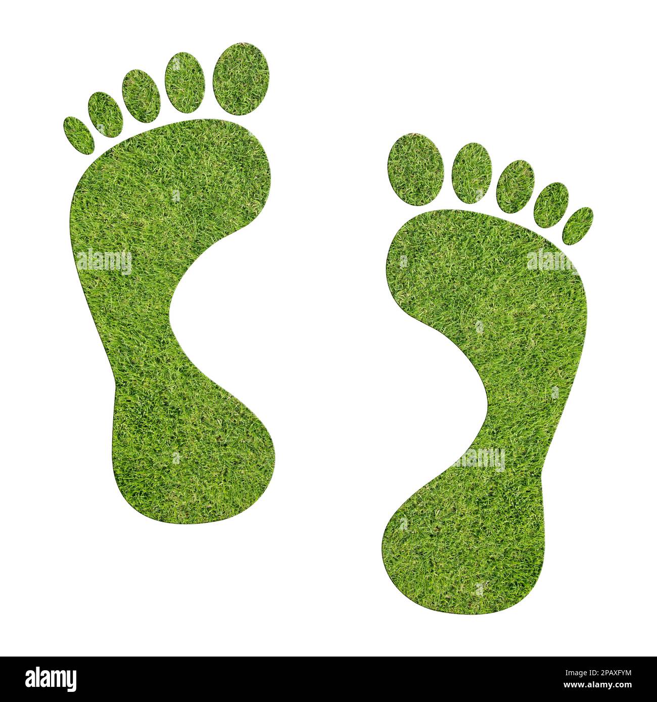 Green footprints against white background, 2D illustration Stock Photo