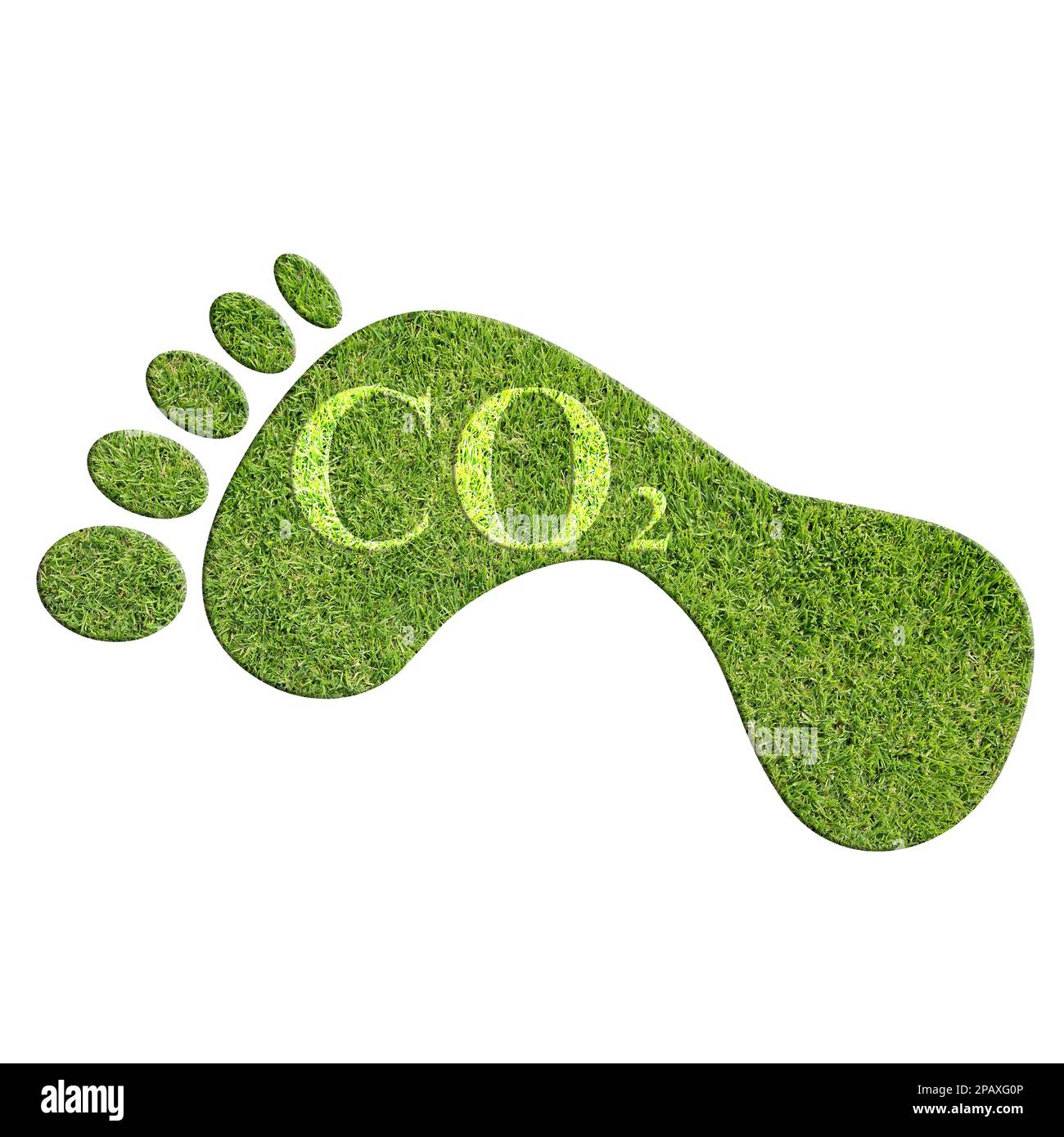 Green footprint against white background, 2D illustration Stock Photo