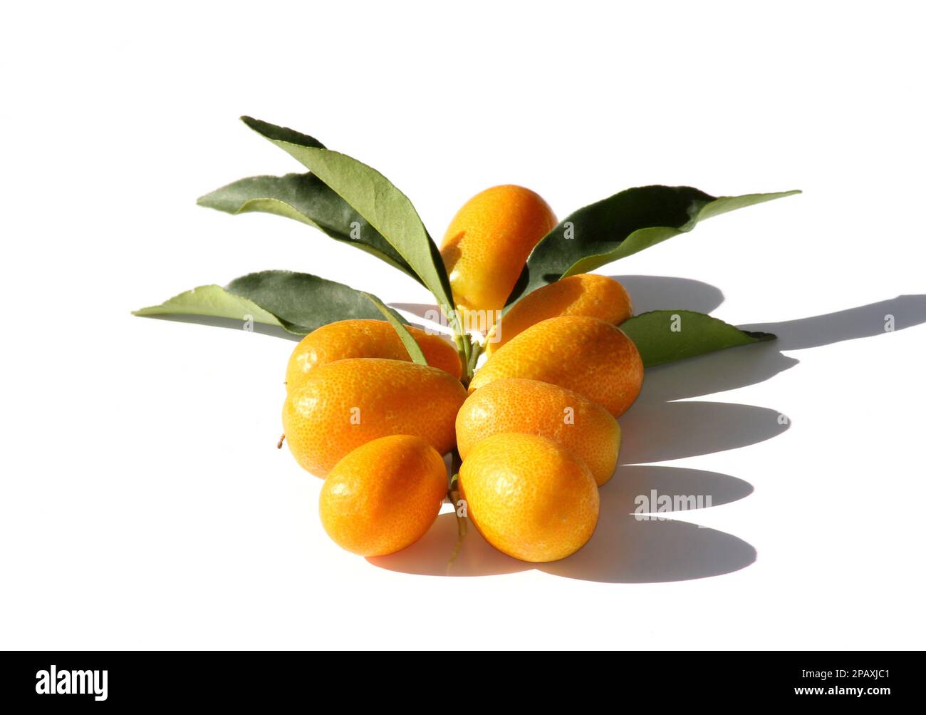 Fresh Kumquat Fruits with Leaves isolated on white Stock Photo Alamy