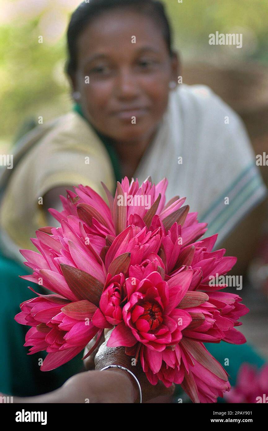 A street vendor sells lily flowers to a customer on the occassion of