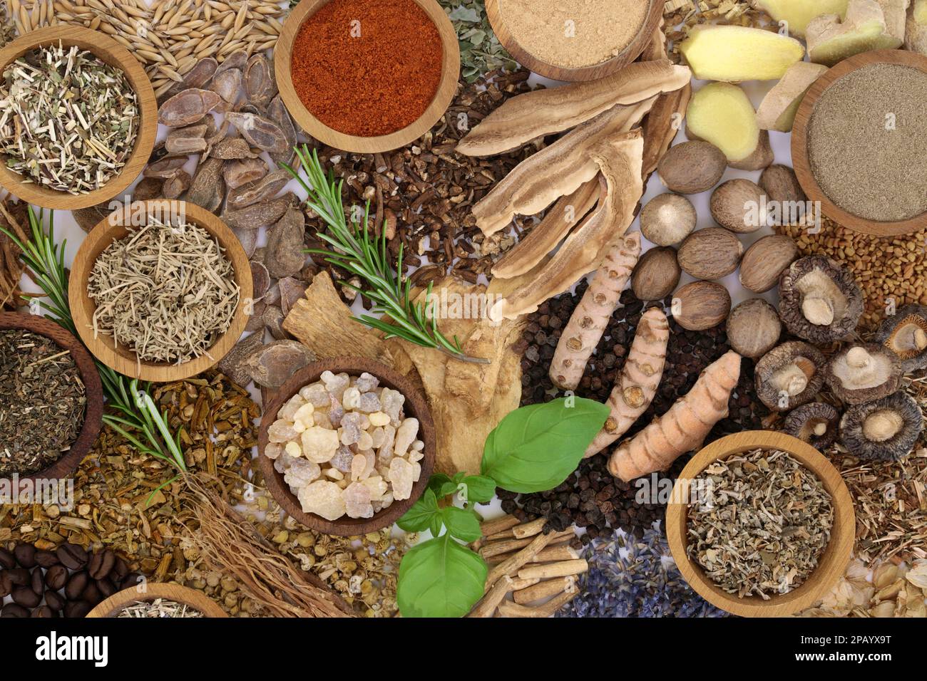 Nervine alternative medicine health food herbal plant medicine. Herbs and foods to soothe anxiety and stress or to stimulate the nervous system. Stock Photo
