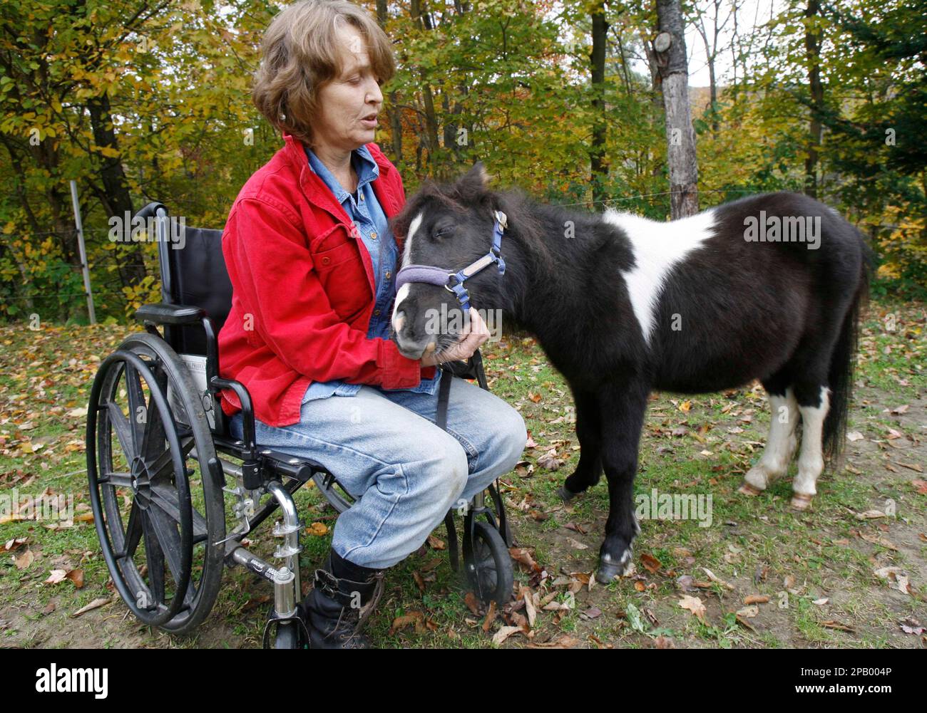 Patty Cooper sits in her wheelchair with her miniature pony, Earl, in  Warren, Vt., Wednesday, Oct. 17, 2007. The Central Vermont Community Land  Trust usually has no objection to seeing-eye dogs or