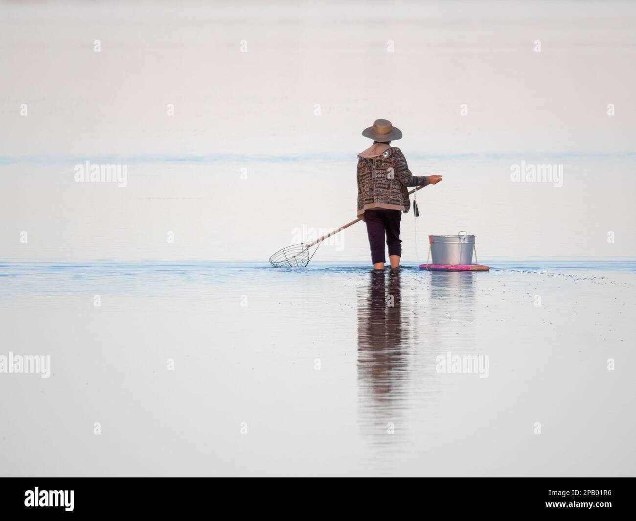 Unidentifiable person crab fishing with a scoop in the estuary, a popular recreational pastime, Mandurah, Western Australia Stock Photo