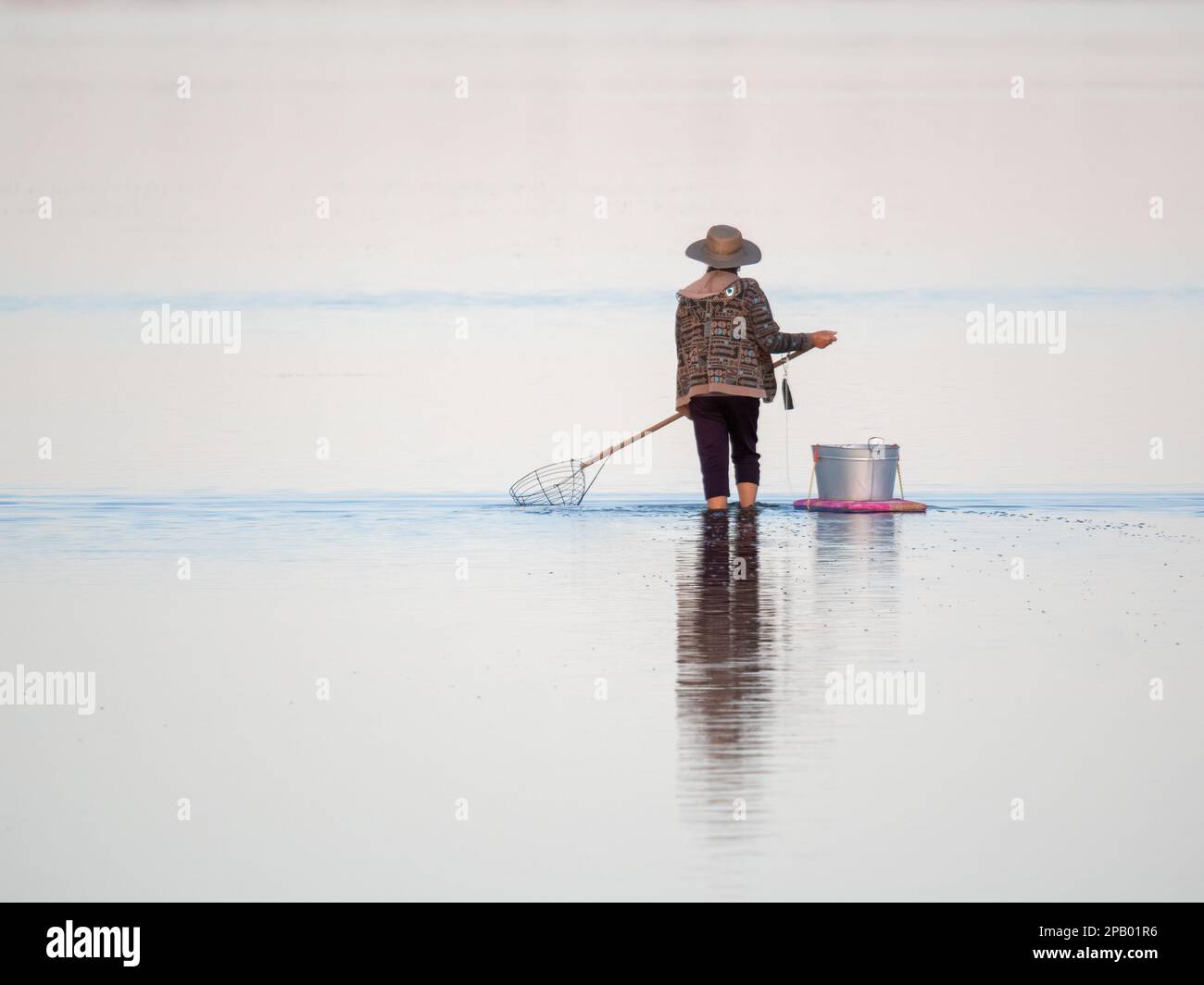 Unidentifiable person crab fishing with a scoop in the estuary, a popular recreational pastime, Mandurah, Western Australia Stock Photo