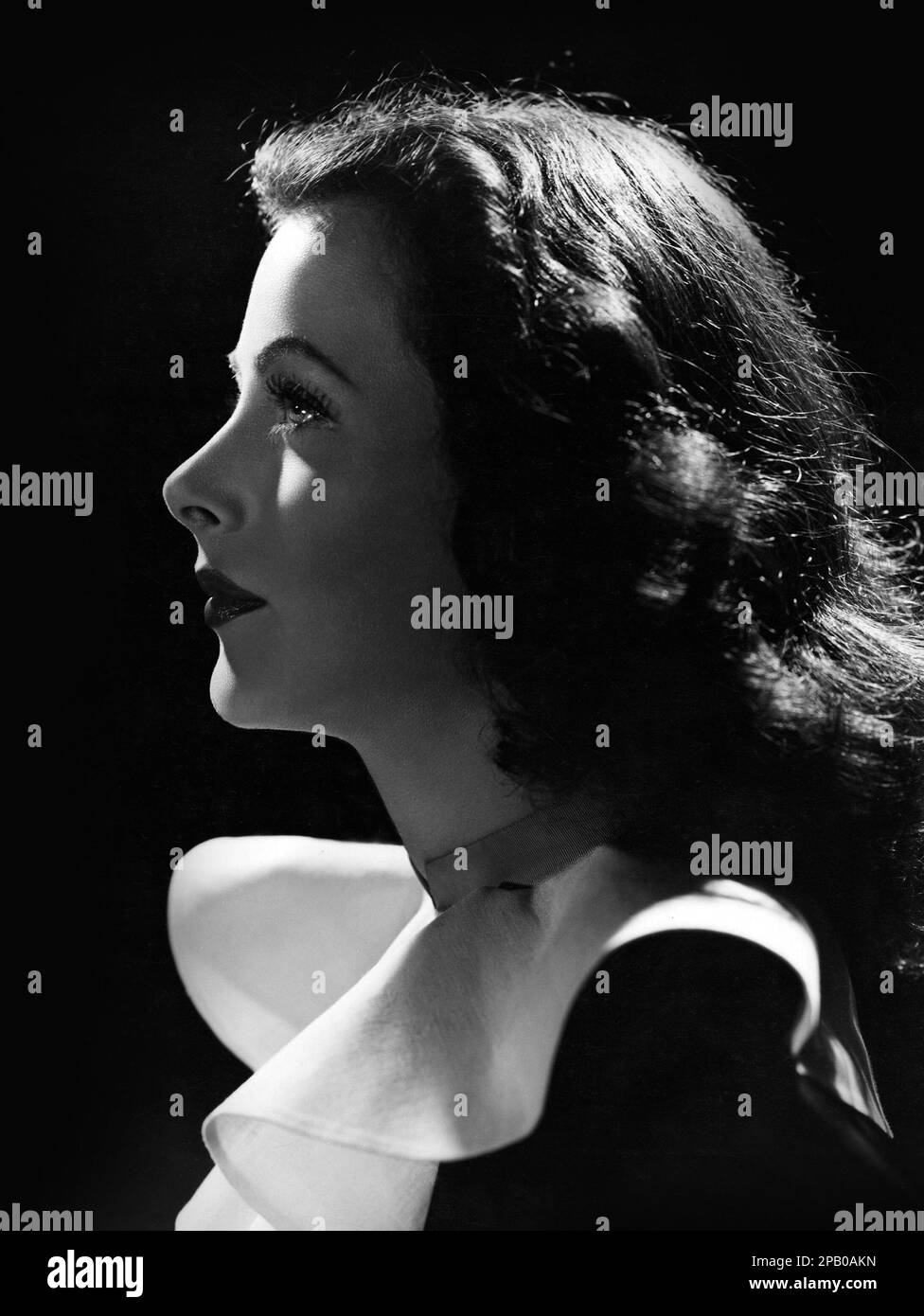 Profile of american actress and inventor Hedy Lamarr. 'The Heavenly Body' (MGM, 1943) Stock Photo