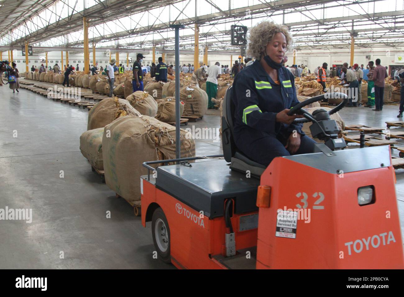Harare, Zimbabwe. 9th Mar, 2023. A woman operates a cart carrying bales