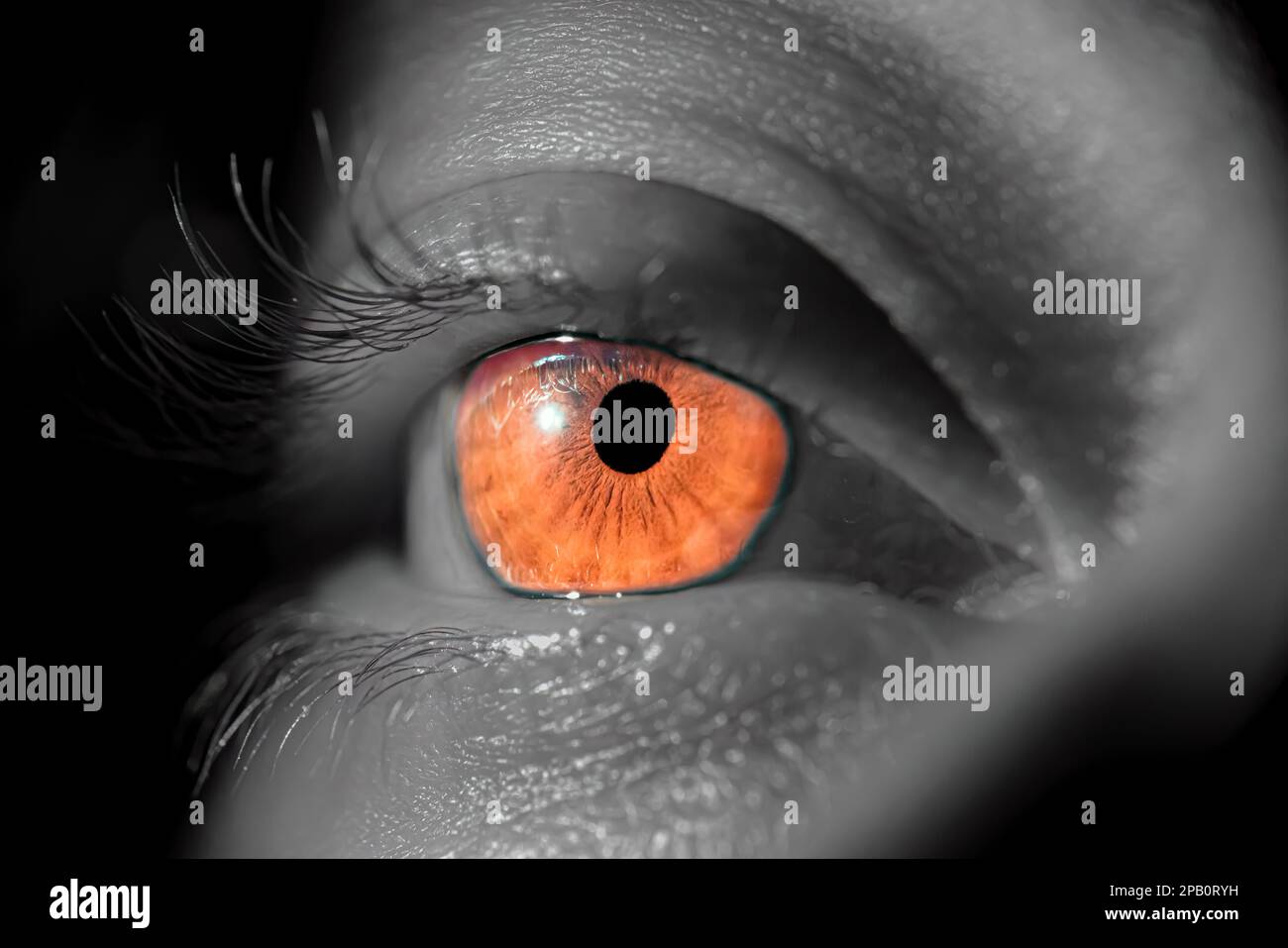 Human iris eye. Pupil in macro on black background Stock Photo