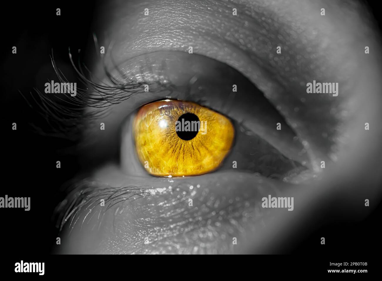 Human iris eye. Pupil in macro on black background Stock Photo