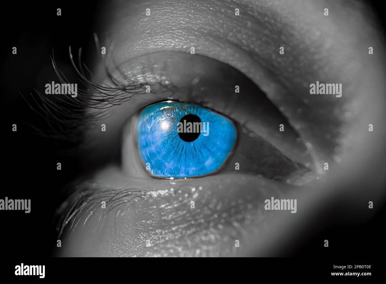 Human iris eye. Pupil in macro on black background Stock Photo