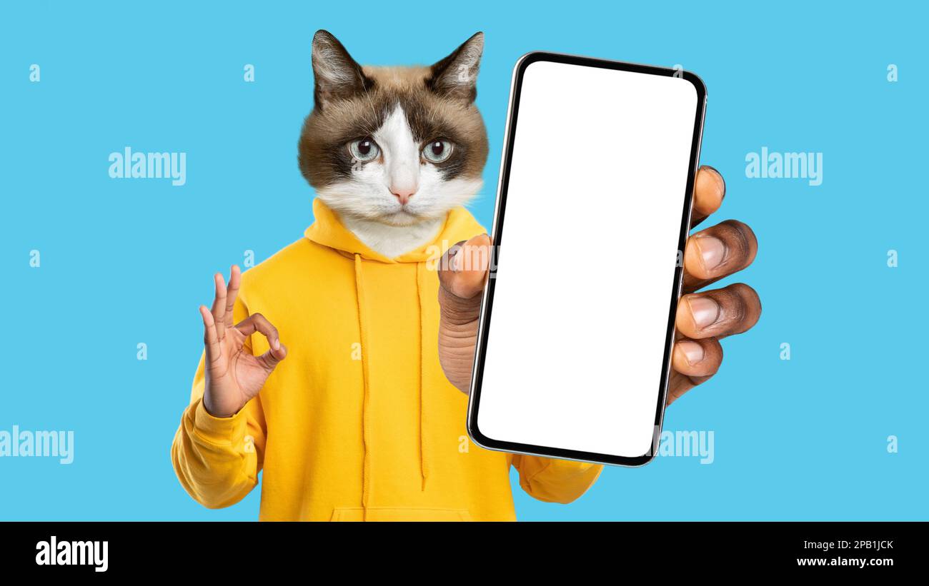 Cell phone pussy 