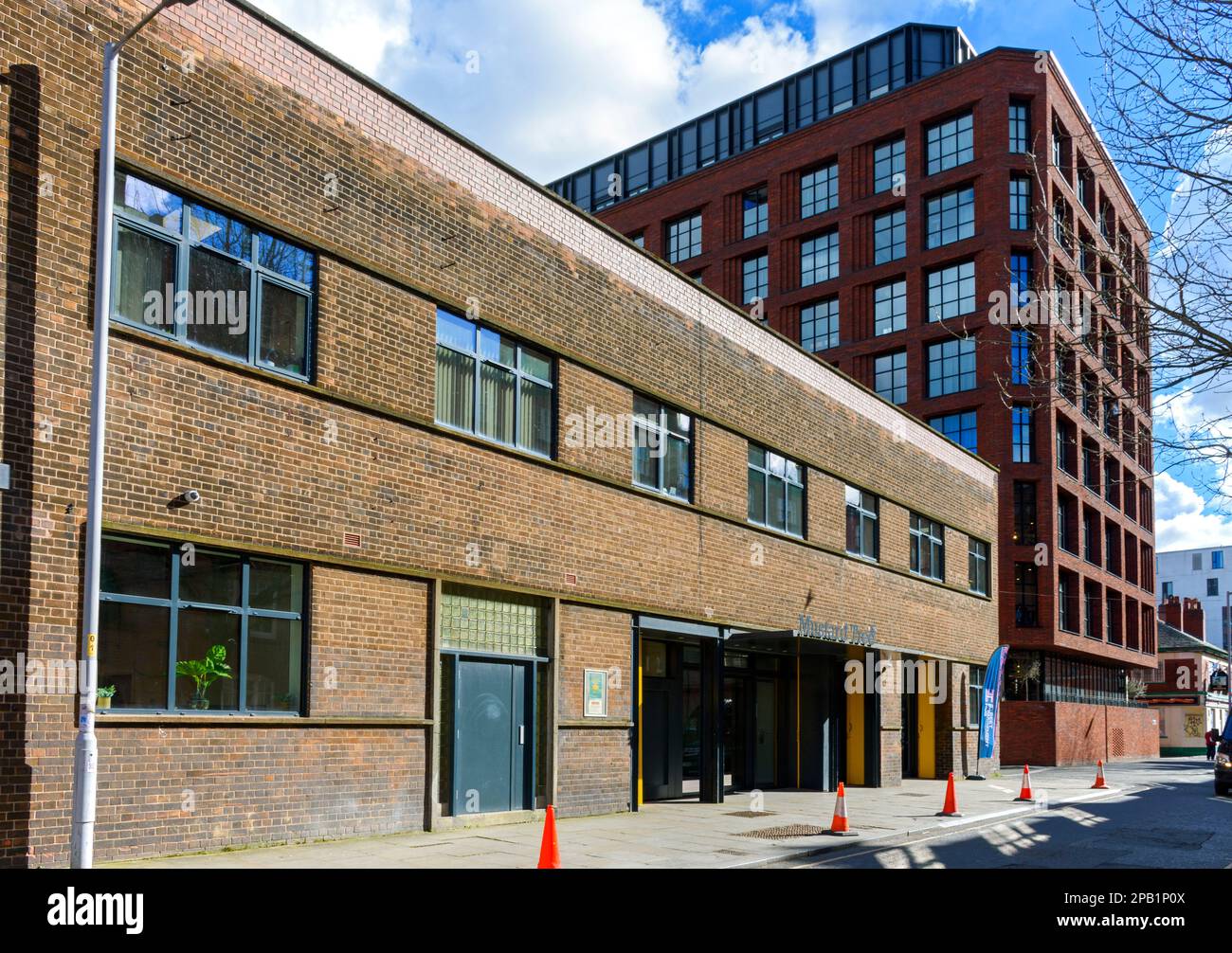 Mustard tree hires stock photography and images Alamy