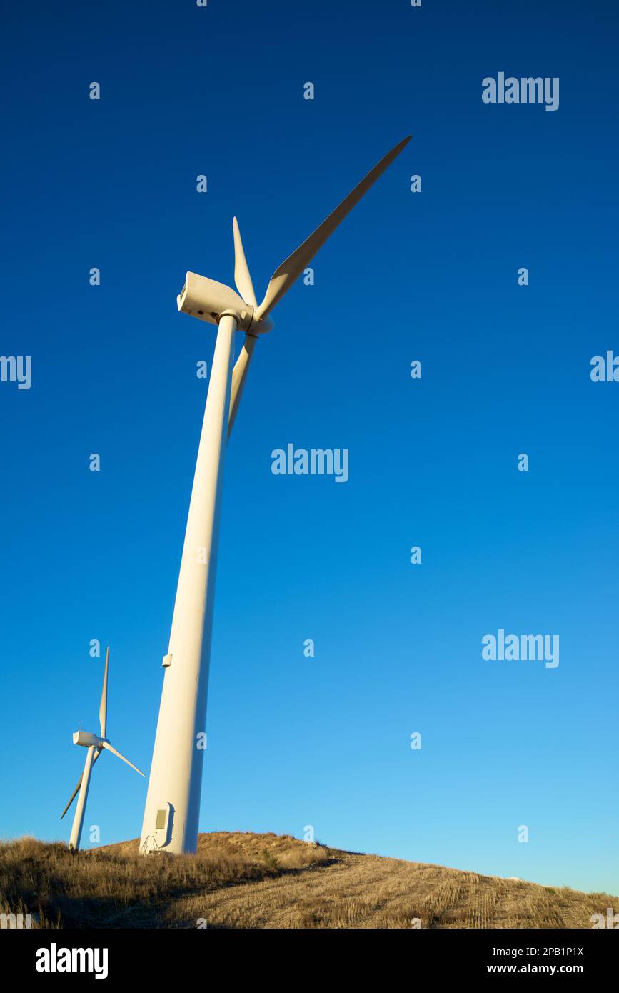 Wind turbine generators for sustainable electrical energy production