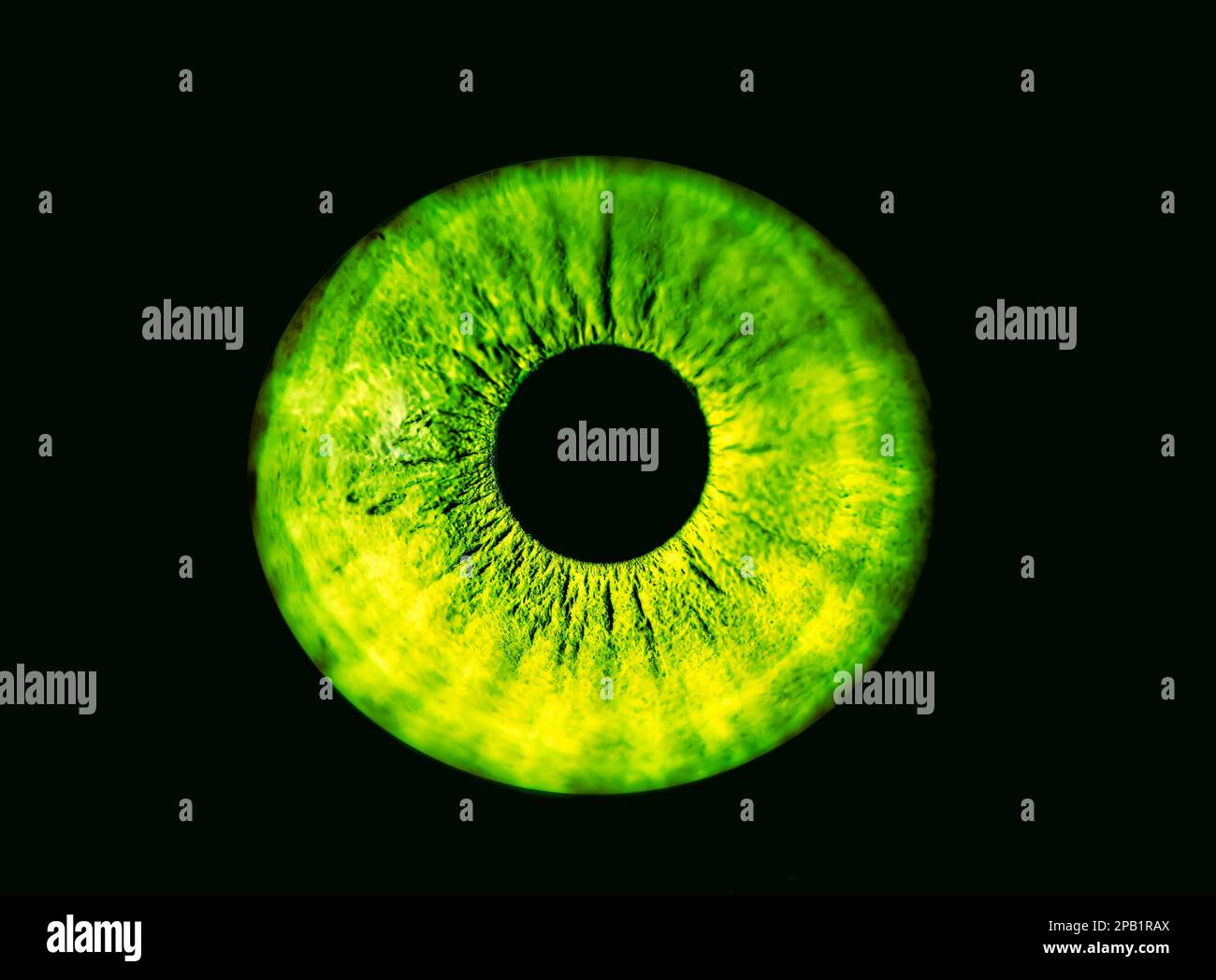 Human green iris eye. Colorful Pupil in macro on black background Stock Photo