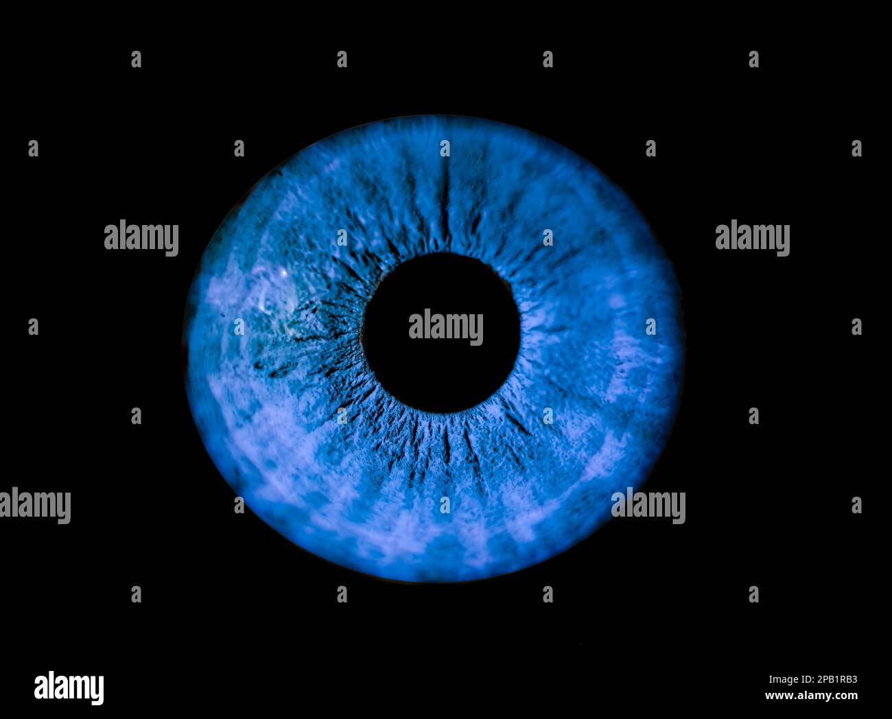 Human blue iris eye. Colorful Pupil in macro on black background Stock Photo