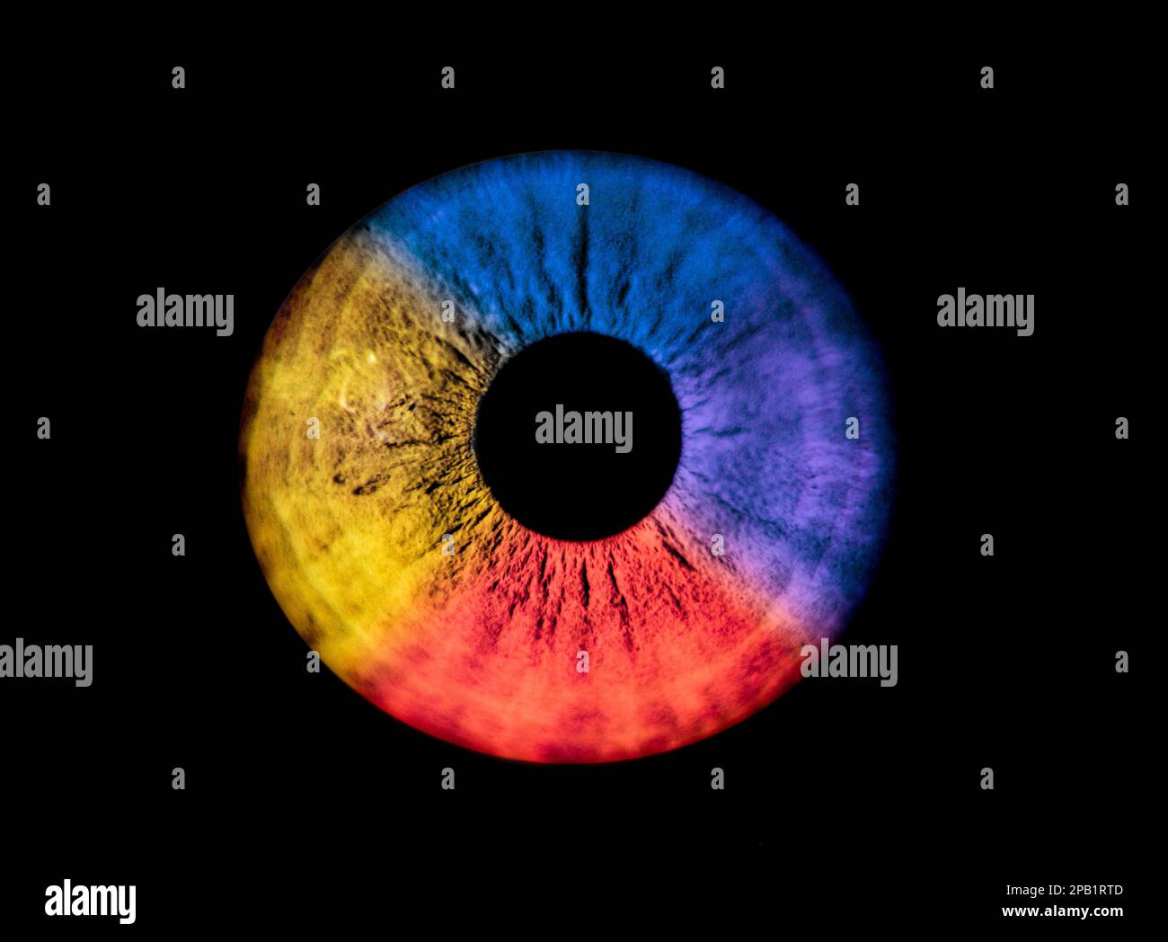 Human blue, yellow red and violet iris eye. Colorful Pupil in macro on black background Stock Photo