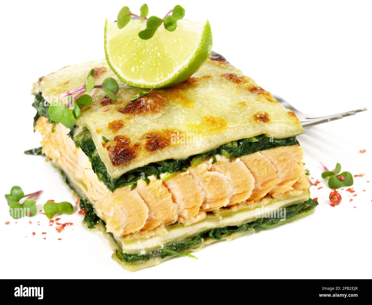 Salmon - Fish Lasagne on white Background Stock Photo