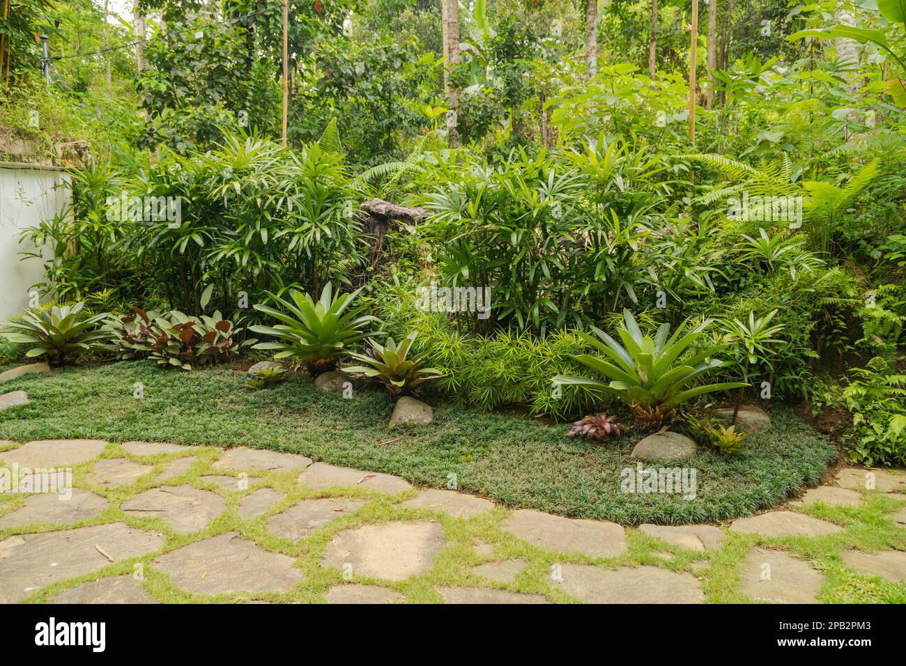 Tropical landscaping hi-res stock photography and images - Alamy