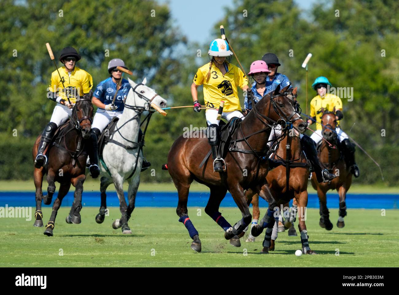 Port Mayaca, United States. 12th Mar, 2023. 3/10/23 Port Mayaca