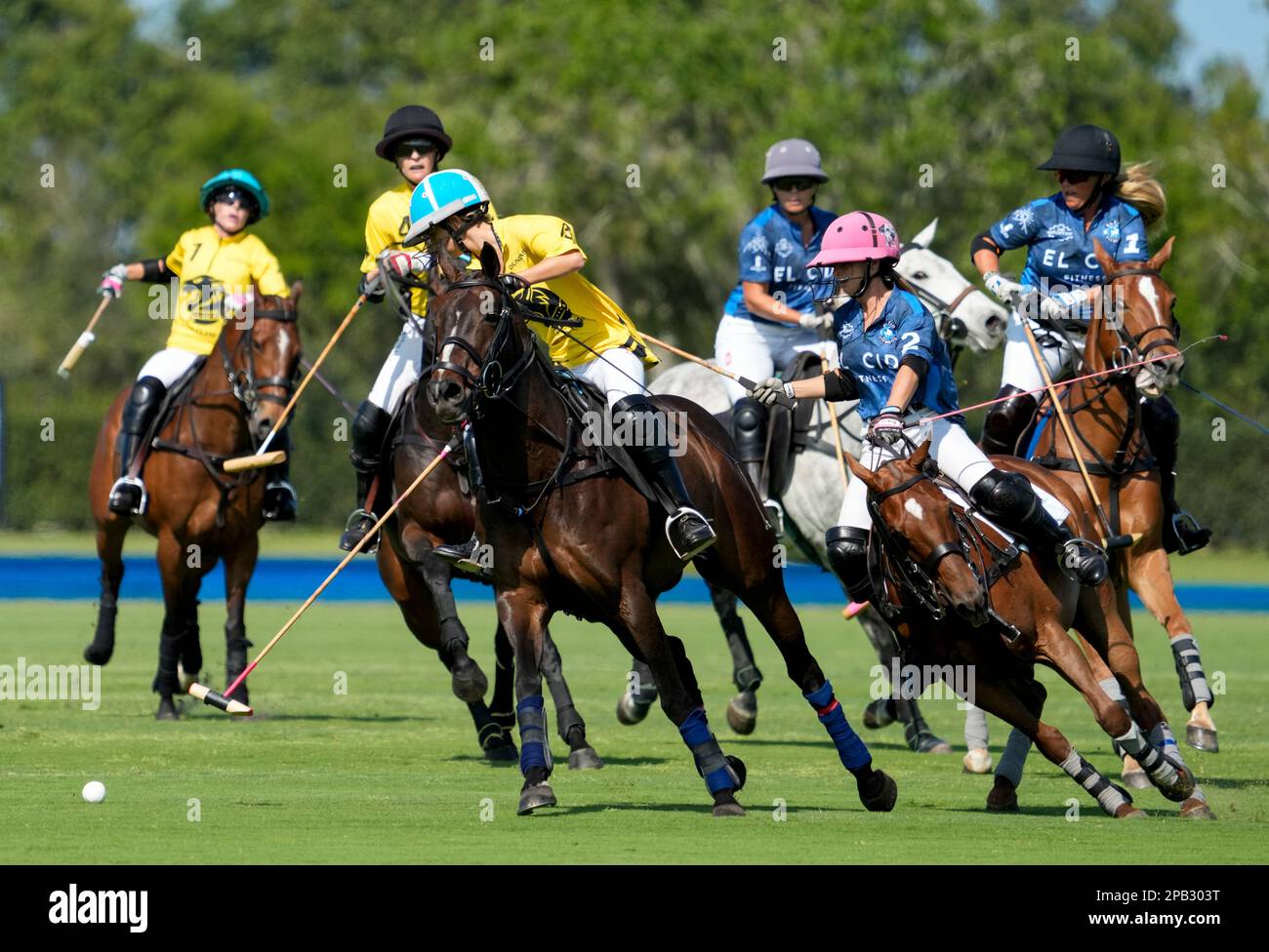 Port Mayaca, United States. 12th Mar, 2023. 3/10/23 Port Mayaca