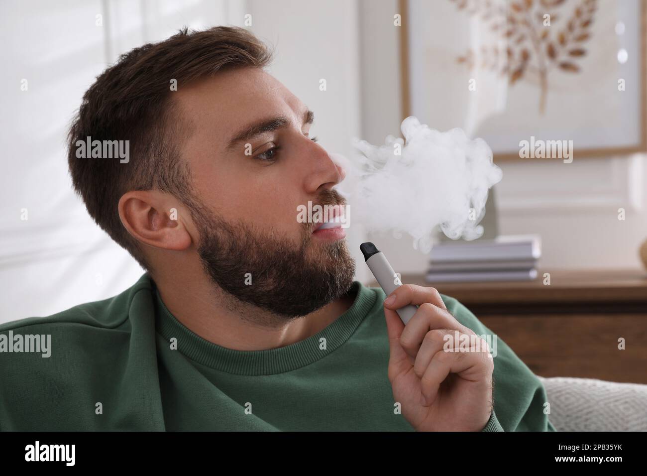 Handsome young man using disposable electronic cigarette at home Stock Photo