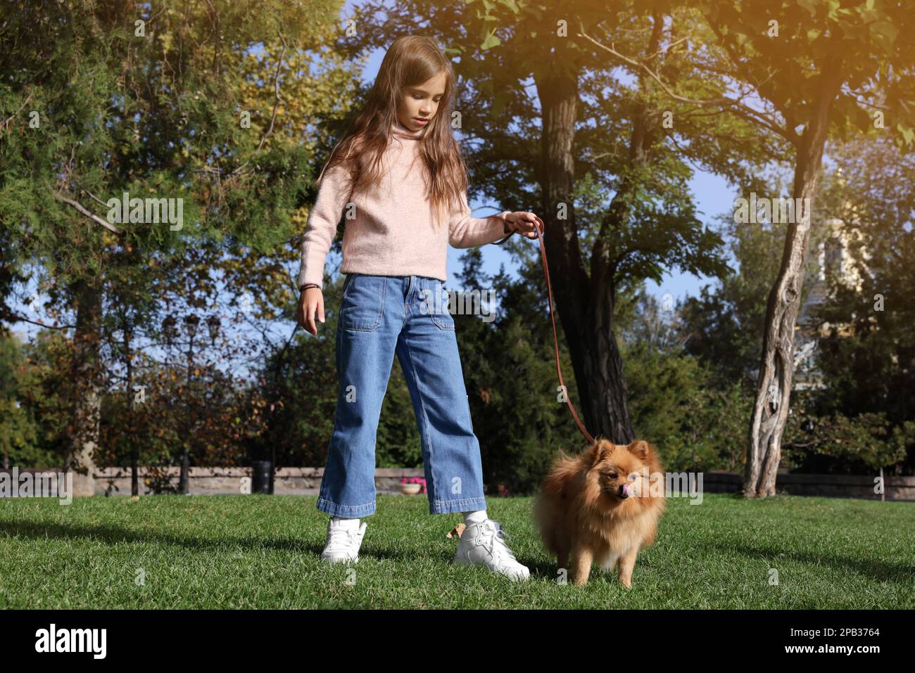 Little girl with her cute dog walking in park Stock Photo - Alamy