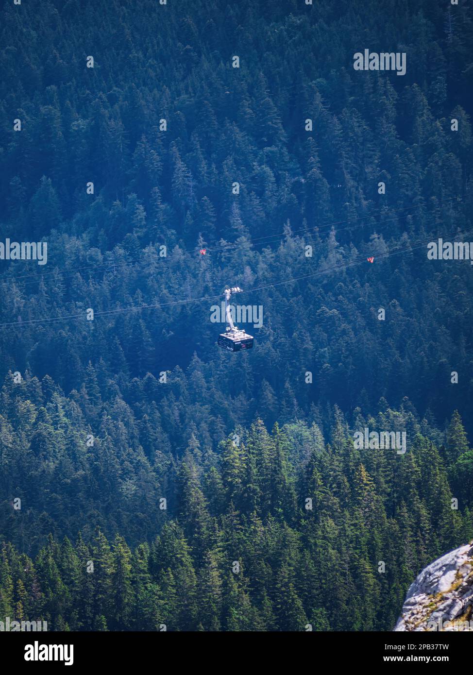 Zugspitzbahn cable car going up to Zugspitze mountain over a forest aerial view Stock Photo