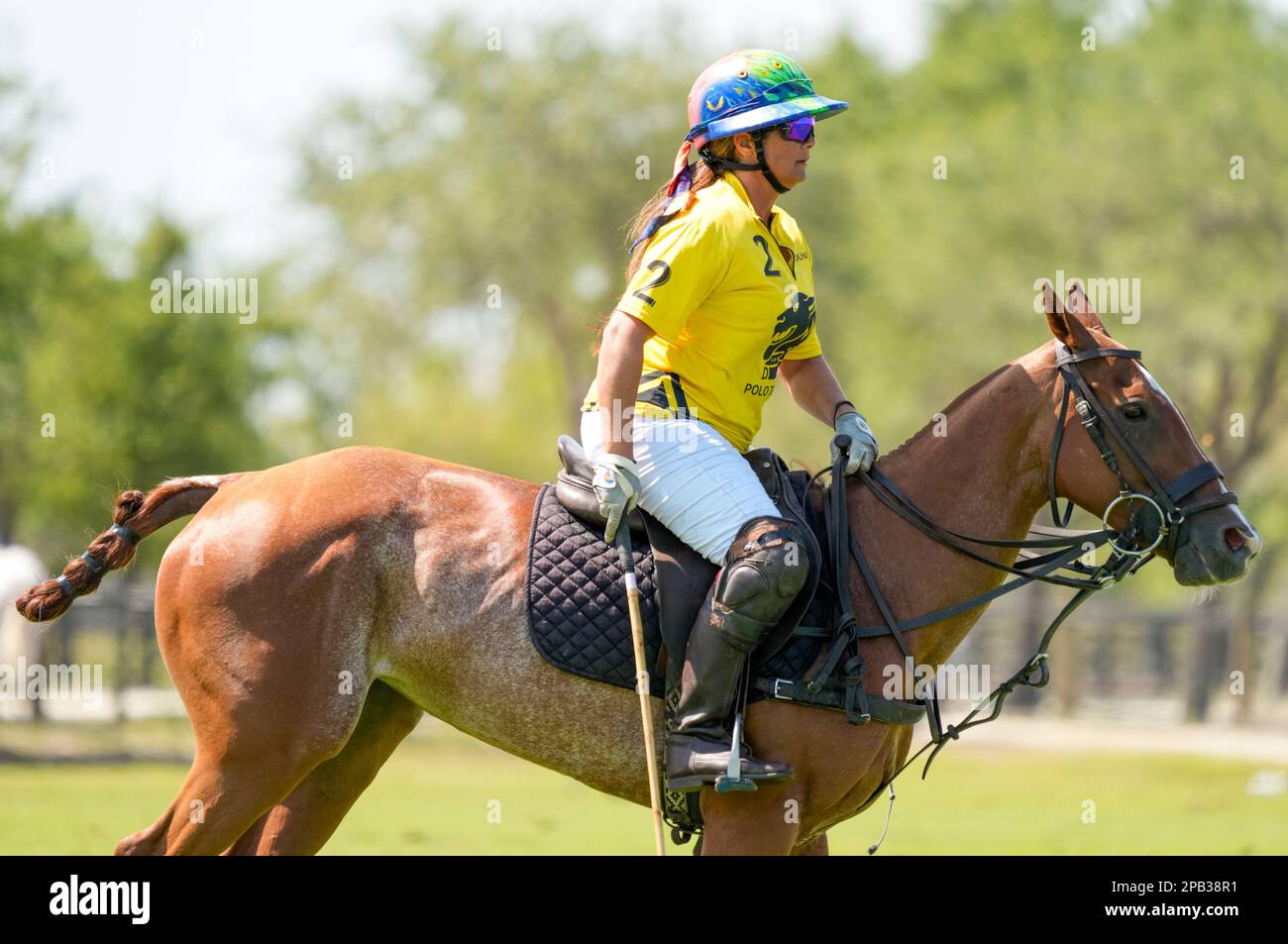 Port Mayaca, United States. 12th Mar, 2023. 3/10/23 Port Mayaca