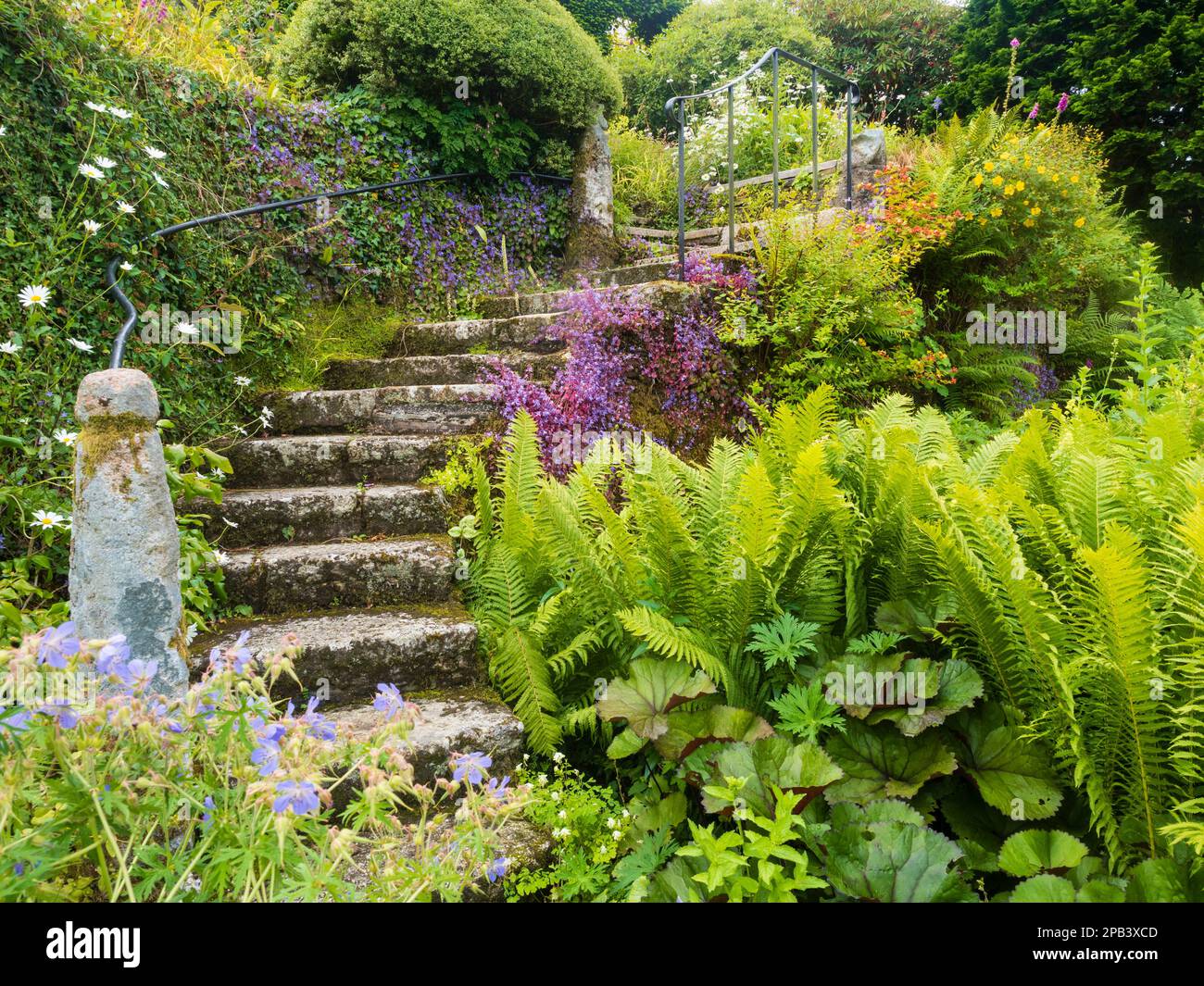 Ancient stone steps in the walled garden at The Garden House, Buckland Monachorum, Devon Stock Photo