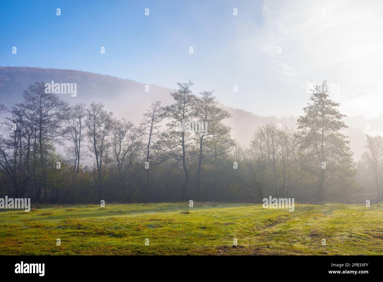 countryside landscape in mountains at sunrise. fog rolling in the rural valley among the trees on a grassy meadow in morning light. wonderful autumn n Stock Photo