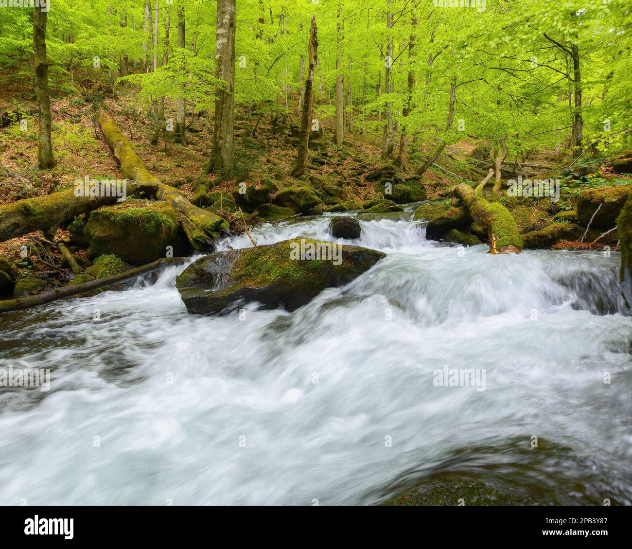 river in the park among boulders. outdoor nature scenery in spring Stock Photo